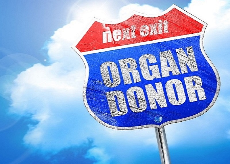 Organ Donation and the NC DMV