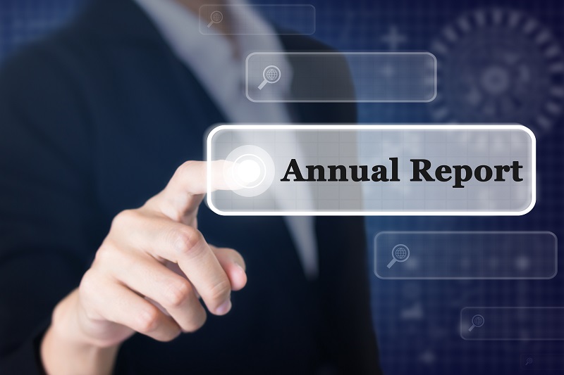 File an Annual Report