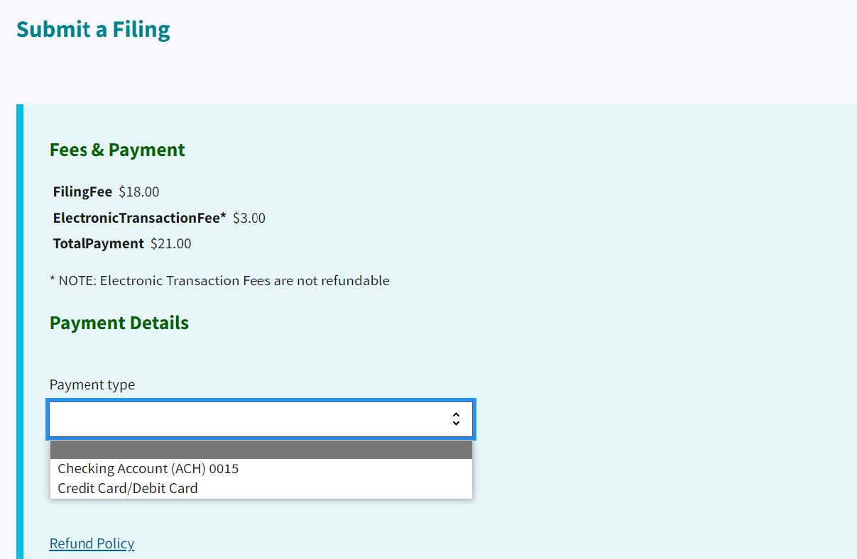 Figure 20. Fees and Payments page