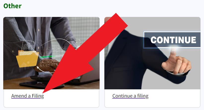 Figure 217. A red arrow points to the Amend a Filing link