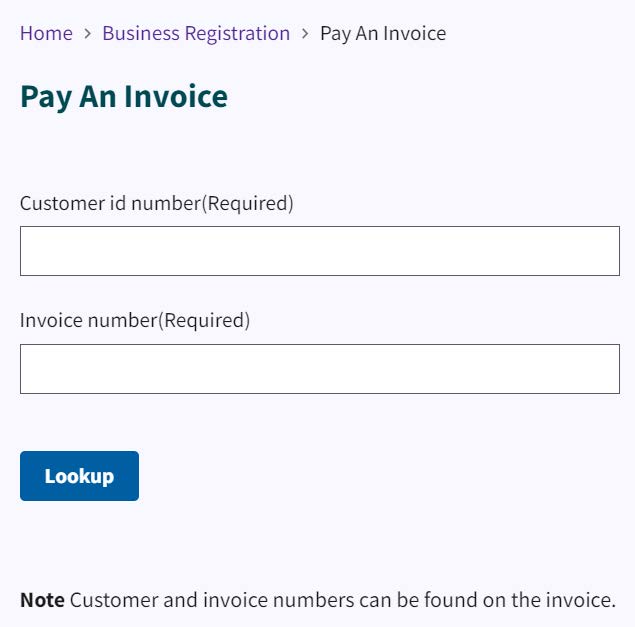 Figure 290. Pay an Invoice tool