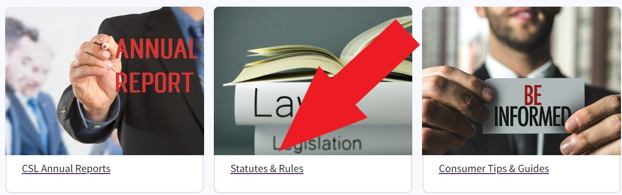 Figure 303. A red arrow points to the Statutes and Rules link