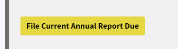 File current annual report button