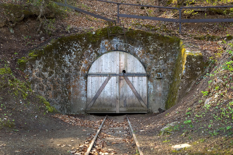 A tunnel with a door.