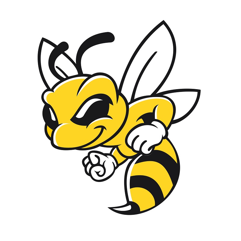 a cartoon of a bee.