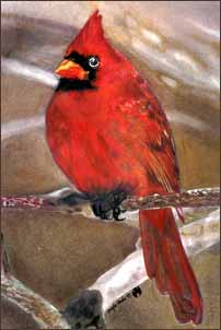 Cardinal